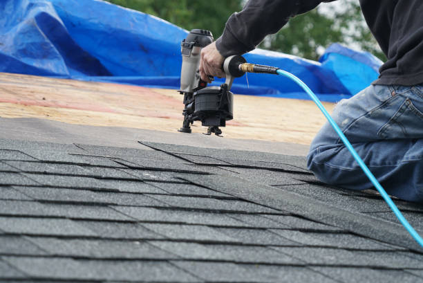 Best Roof Gutter Cleaning  in Forestbrook, SC